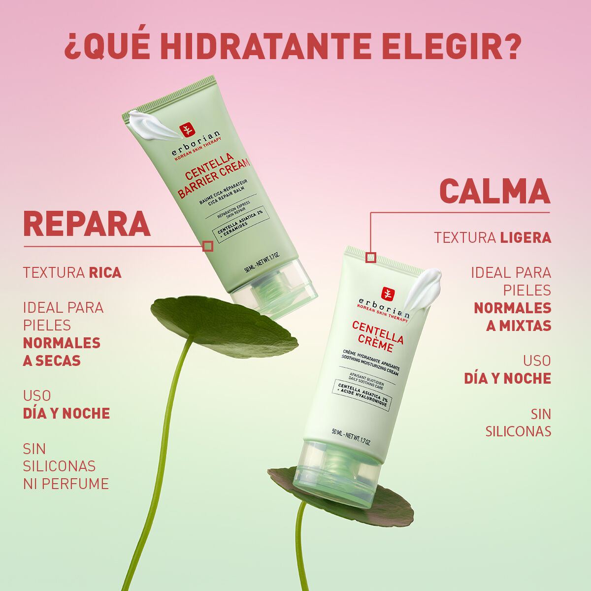 centella barrier crema infografia